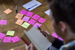 体育公益项目社会影响力研究，关于体育的公益项目