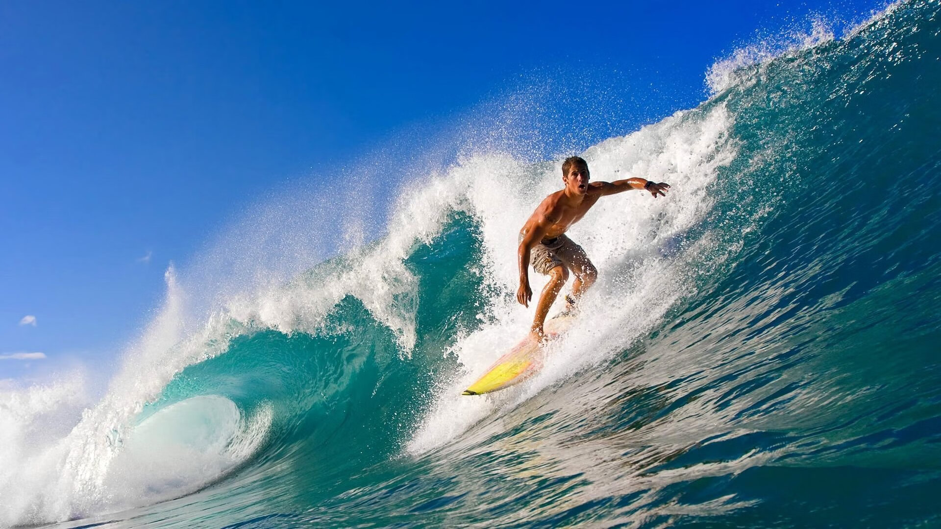 张伟丽赛前称将全力以赴拼到底，张伟丽比赛视频中文解说